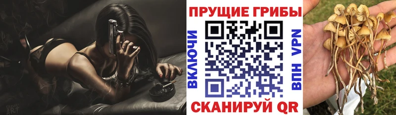 Псилоцибиновые грибы мицелий  Псков 